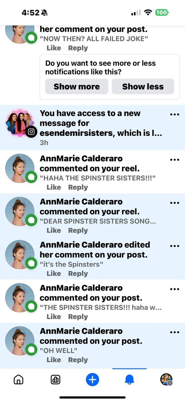 Screenshot of Instagram notifications showing comments by AnnMarie Calderaro calling us "the Spinster Sisters"