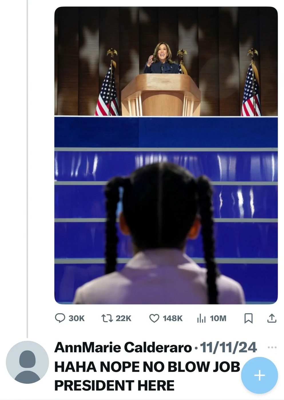 Screenshot of a November 2024 reply on X by AnnMarie Calderaro with a crude sexual insult about Kamala Harris