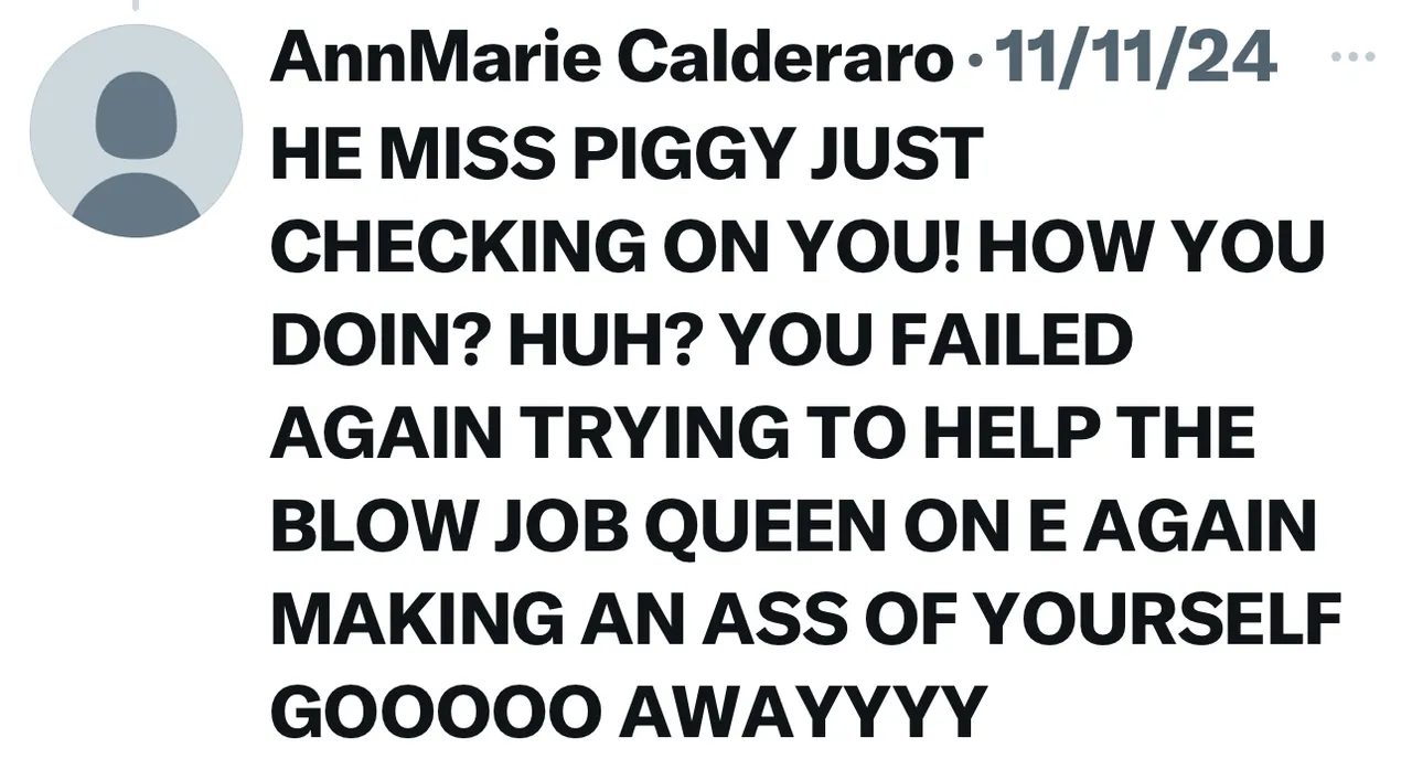 Screenshot of a November 2024 reply on X by AnnMarie Calderaro calling a woman "Miss Piggy" with a crude sexual insult