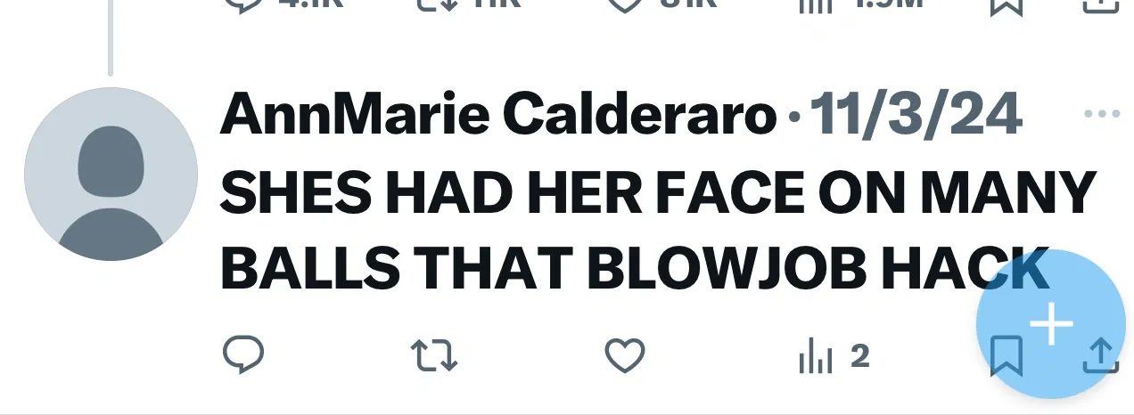 Screenshot of a November 2024 reply on X by AnnMarie Calderaro with a crude sexual insult about a woman